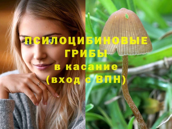 spice Навашино