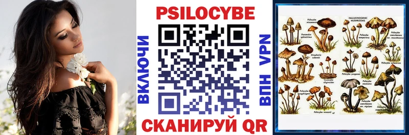 блэк спрут ТОР  это наркотические препараты  Псилоцибиновые грибы Magic Shrooms  Солигалич 